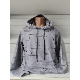 Фотография Худи мужской 1475 grey р.S-2XL "RING" недорого оптом от прямого поставщика
