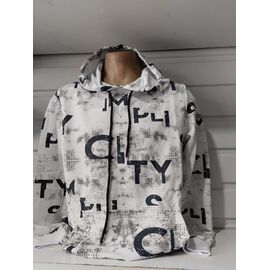 Фотография Худи мужской 1484 white р.S-2XL "RING" недорого оптом от прямого поставщика