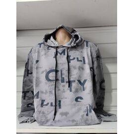 Фотография Худи мужской 1485 grey р.S-2XL "RING" недорого оптом от прямого поставщика