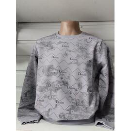 Фотография Свитер мужской 1489 grey р.S-2XL "RING" недорого оптом от прямого поставщика