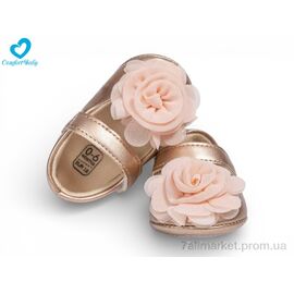 Фотография Пинетки Весна/осень 5308A золотий (6 пар р.11-13) "Comfort-baby" недорого оптом от прямого поставщика