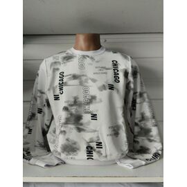 Фотография Свитер мужской 1510 white р.S-2XL "RING" недорого оптом от прямого поставщика