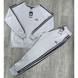 Костюм спортивний чоловічий W26486 grey р.M-3XL "Verton" недорого оптом від прямого постачальника