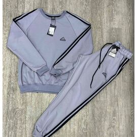 Костюм спортивний чоловічий W26488 grey р.M-3XL "Verton" недорого оптом від прямого постачальника