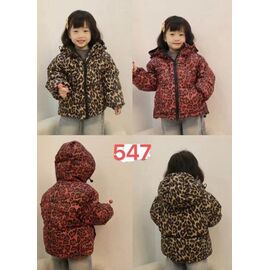 Фотография Куртка детская демисезонная на девочку 547 red р.110-150 "Farbique" недорого оптом от прямого поставщика