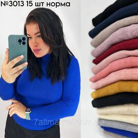 Осінній базовий гольф розмір універсальний норма 44-48 "PARTNERS" недорого від прямого постачальника