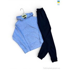 Фотография Спортивный костюм женский Весна/осень 115-1023 св.сірий з чорним (4 шт. р.сетка S-XL) "Sport style" недорого оптом от прямого поставщика