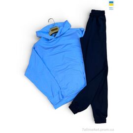 Фотография Спортивный костюм женский Весна/осень 115-1023 джинс з чорний (4 шт. р.сетка S-XL) "Sport style" недорого оптом от прямого поставщика