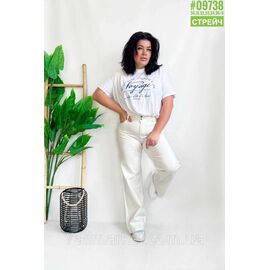 Джинси труби стрейч розмірний ряд 30,31,32,33,34,36 "PARTNERS" недорого від прямого постачальника