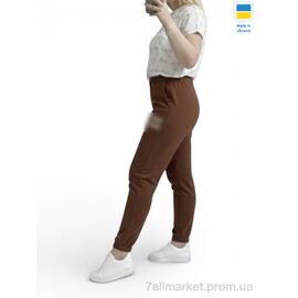 Фотография Спортивные брюки женские Весна/осень 10055-1MU шоколад (4 шт. р.сетка 2XL-5XL) "Sport style" недорого оптом от прямого поставщика