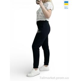 Фотография Спортивные брюки женские Весна/осень 10055-1NI чорний (4 шт. р.сетка 2XL-5XL) "Sport style" недорого оптом от прямого поставщика