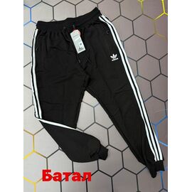 Штани спортивні чоловічі 13549 black р.2XL-6XL "Alex Clothes" недорого оптом від прямого постачальника