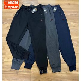 Спортивні штани чоловічі, на манжеті розміри M-3XL (3кв)"STELLA" недорого від прямого постачальника