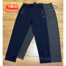 Спортивні штани чоловічі, прямі розміри M-3XL (2 кв) "STELLA" недорого від прямого постачальника