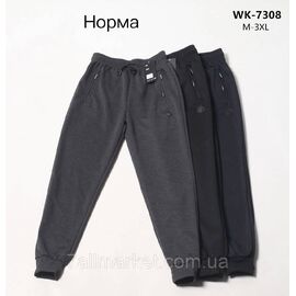 Спортивні штани чоловічі, розміри M-3XL (3 кв) "STELLA" недорого від прямого постачальника