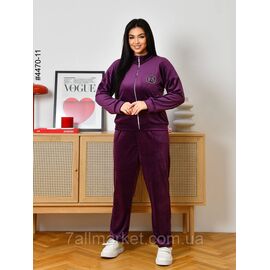 Фотография Спортивный костюм женский велюр на молнии полубалта 48,50,52 (6цв) "NOWEMBER" недорого от прямого поставщика