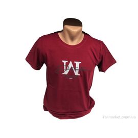 Футболка чоловіча Літо C002 бордовий (4 шт. р.сіткаM-2XL) "TurkishBrend" недорого оптом від прямого постачальника