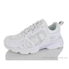 Кросівки жіночі модні Весна/осінь SKU353-3 (8 пар р.36-41) "AD" недорого оптом від прямого постачальника