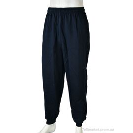 Спортивні штани чоловічі Весна/осінь 4342 манжет navy (5 шт. р.сітка48-56) "Pryama Vigoda" недорого оптом від прямого постачальника