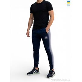 Спортивні штани чоловічі Весна/осінь 23 синій (5 шт. р.сітка46-54) "Sport style" недорого оптом від прямого постачальника