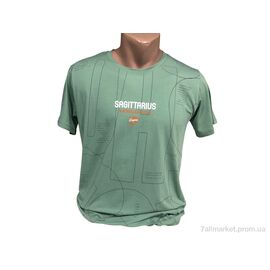 Фотография Футболка мужская Лето C004 зелений (4 шт. р.сетка M-2XL) "TurkishBrend" недорого оптом от прямого поставщика