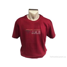 Фотография Футболка мужская Лето C005Б червоний (4 шт. р.сетка 2XL-5XL) "TurkishBrend" недорого оптом от прямого поставщика