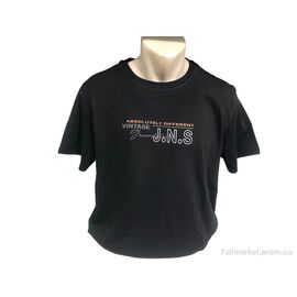 Фотография Футболка мужская Лето C005Б чорний (4 шт. р.сетка 2XL-5XL) "TurkishBrend" недорого оптом от прямого поставщика