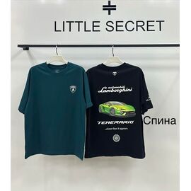 Фотография Футболка мужская 500315 black р.M-XL "Little Secret" недорого оптом от прямого поставщика