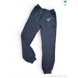 Фотография Спортивные брюки мужские Весна/осень 12AD графіт (5 шт. р.сетка 56-64) "Sport style" недорого оптом от прямого поставщика