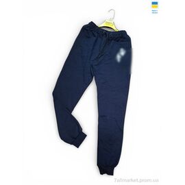 Фотография Спортивные брюки мужские Весна/осень 22UA т.синій (5 шт. р.сетка 50-58) "Sport style" недорого оптом от прямого поставщика