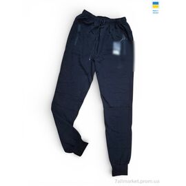 Фотография Спортивные брюки мужские Весна/осень 2NK чорний (6 шт. р.сетка 48-58) "Sport style" недорого оптом от прямого поставщика