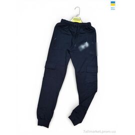 Фотография Спортивные брюки мужские Весна/осень 07-1PU чорний (5 шт. р.сетка 46-54) "Sport style" недорого оптом от прямого поставщика