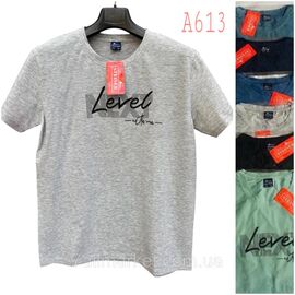 Фотография Футболка мужская молодёжная р-ры  2хл- 5хл(48-56)(микс цв) "NICOLAS" недорого оптом от прямого поставщика