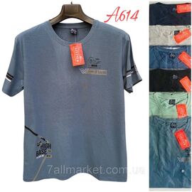 Фотография Футболка мужская молодёжная р-ры  2хл- 5хл(48-56)(микс цв) "NICOLAS" недорого оптом от прямого поставщика