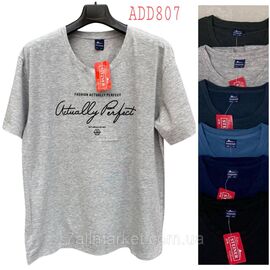 Фотография Футболка мужская молодёжная батал р-ры 7хл-10хл (58-66)(микс цв) "NICOLAS" недорого оптом от прямого поставщика