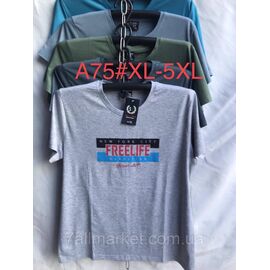 Фотография Футболка мужская молодёжная р-ры XL- 5XL(48-56)(микс цв) "NICOLAS" недорого оптом от прямого поставщика