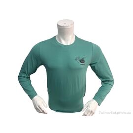 Фотография Батник мужской Весна/осень 1001 зелений (4 шт. р.сетка M-2XL) "TurkishBrend" недорого оптом от прямого поставщика