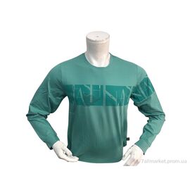 Фотография Батник мужской Весна/осень 1003 зелений (4 шт. р.сетка M-2XL) "TurkishBrend" недорого оптом от прямого поставщика