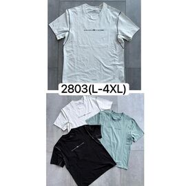 Фотография Футболка мужская 2803 white р.M-3XL "Ale-Ate" недорого оптом от прямого поставщика