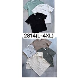 Фотография Футболка мужская 2814 grey р.L-4XL "Ale-Ate" недорого оптом от прямого поставщика