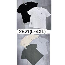 Фотография Футболка мужская 2821 white р.L-4XL "Ale-Ate" недорого оптом от прямого поставщика