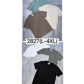 Фотография Футболка мужская 2827 white р.L-4XL "Ale-Ate" недорого оптом от прямого поставщика