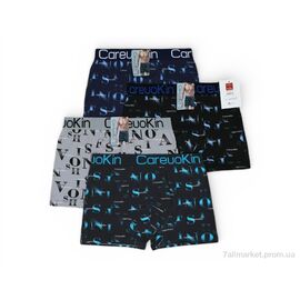 Фотография Трусы Весна/осень A4949 mix (12 шт. р.сетка XL-3XL) "Алия" недорого оптом от прямого поставщика