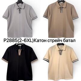 Фотография Футболка мужская P2885 beige р.2XL-6XL "Ale-Ate" недорого оптом от прямого поставщика