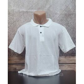 Фотография Футболка-поло мужская однотонная р.2XL-6XL (6 кв.) "MODY" недорогой опцией от прямого поставщика
