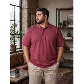 Футболка-поло чоловіча однотонна р.2XL-6XL (6 кв.) "MODY" недорогою опцією від прямого постачальника