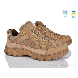 Кросівки чоловічі модні Весна/осінь 2206 бежевий (6 пар р.41-45) "Paolla" недорого оптом від прямого постачальника