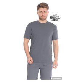 Футболка чоловіча 1465 grey р.M-2XL "ROLADA" недорого оптом від прямого постачальника