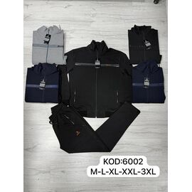 Костюм спортивний чоловічий 6002 grey р.M-3XL "ROLADA" недорого оптом від прямого постачальника