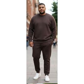 Костюм спортивний чоловічий 7382 brown р.54-62 "ROLADA" недорого оптом від прямого постачальника